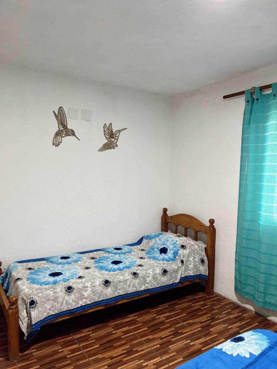 Villa La Isolina Villa Giardino Εξωτερικό φωτογραφία