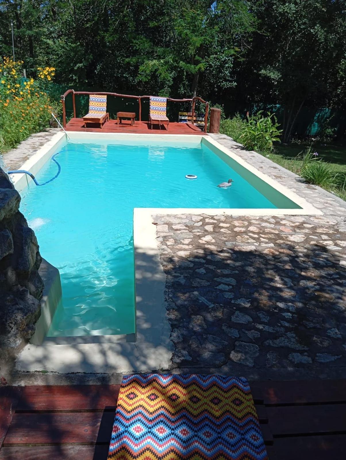 Villa La Isolina Villa Giardino Εξωτερικό φωτογραφία