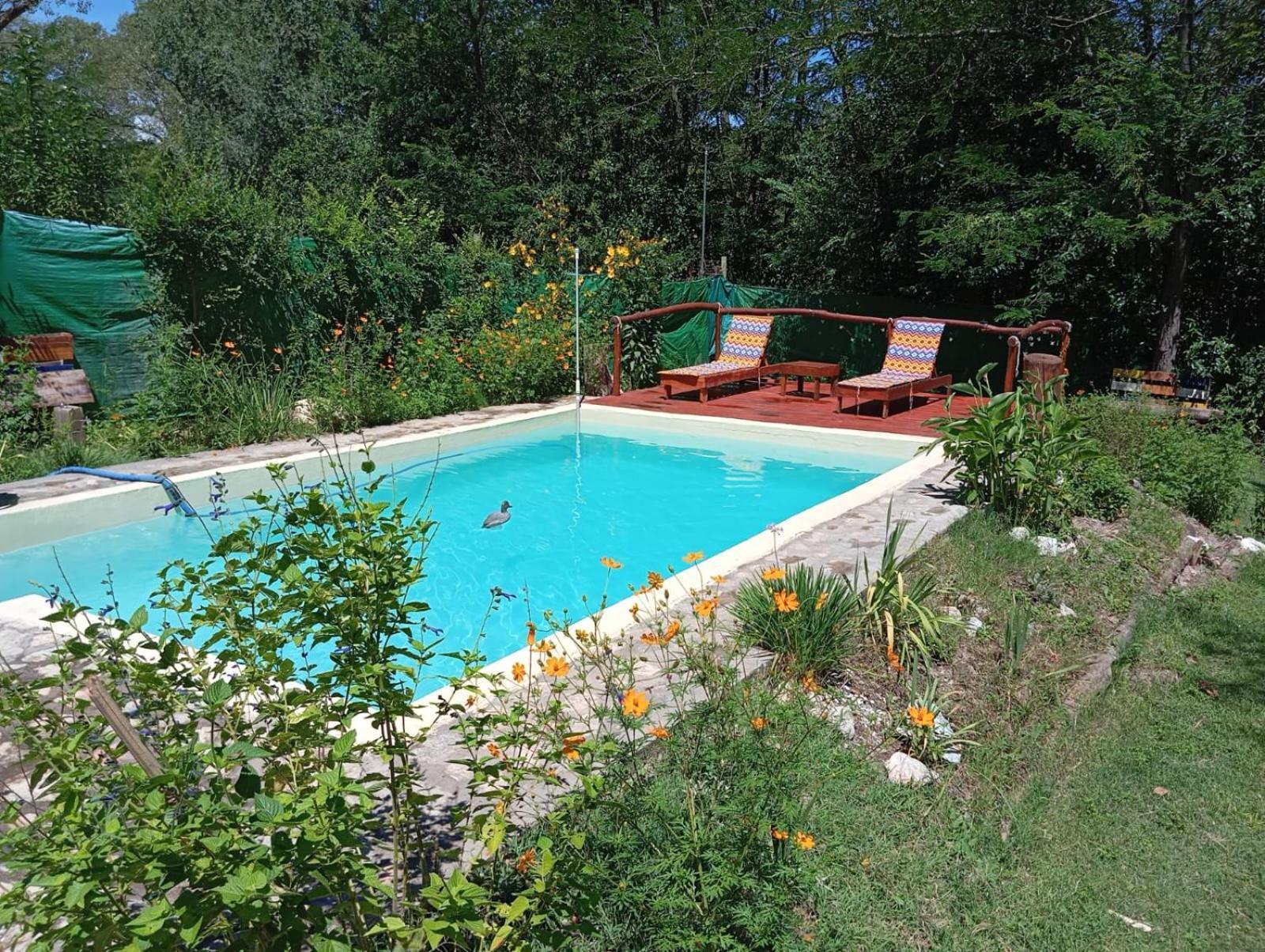 Villa La Isolina Villa Giardino Εξωτερικό φωτογραφία
